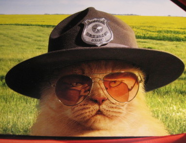 Cat Police.jpg