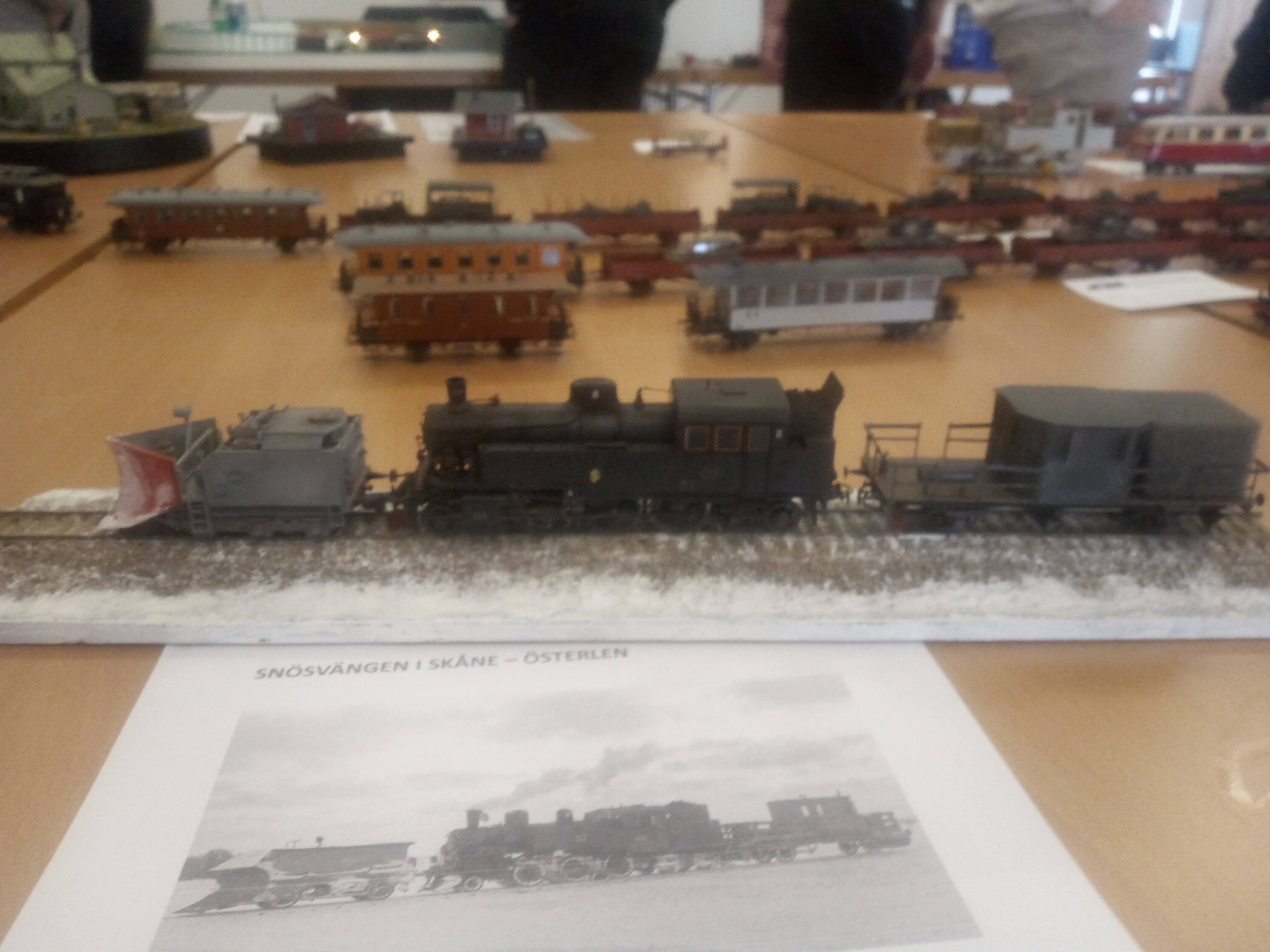 Snösvängen i Skåne.jpg