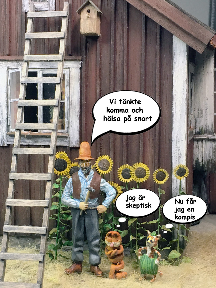Pettson.2017.jpg